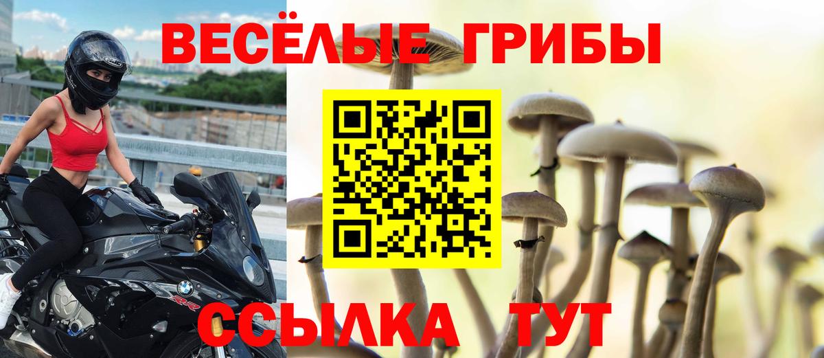 Галлюциногенные грибы мицелий Нефтекумск